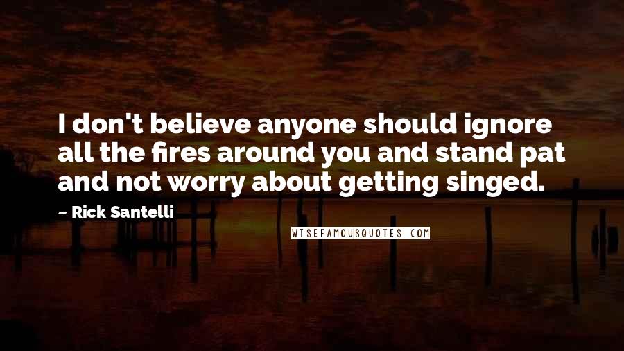 Rick Santelli Quotes: I don't believe anyone should ignore all the fires around you and stand pat and not worry about getting singed.