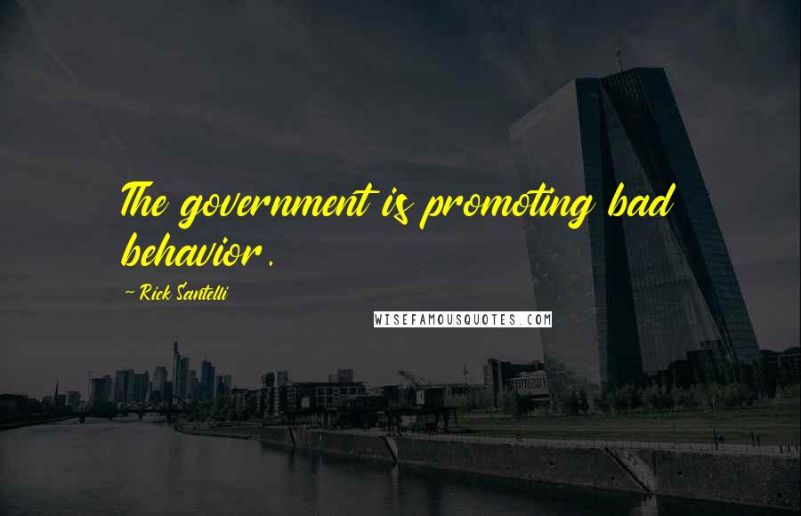 Rick Santelli Quotes: The government is promoting bad behavior.