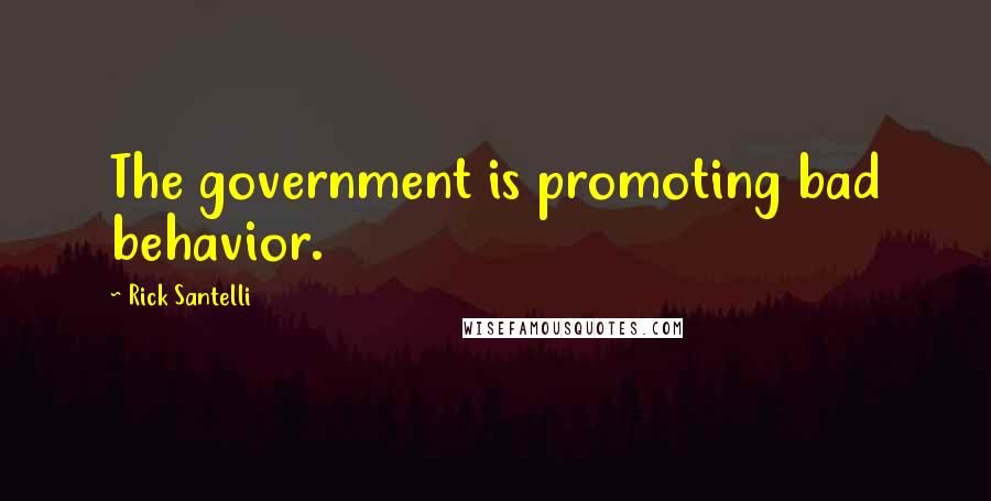 Rick Santelli Quotes: The government is promoting bad behavior.