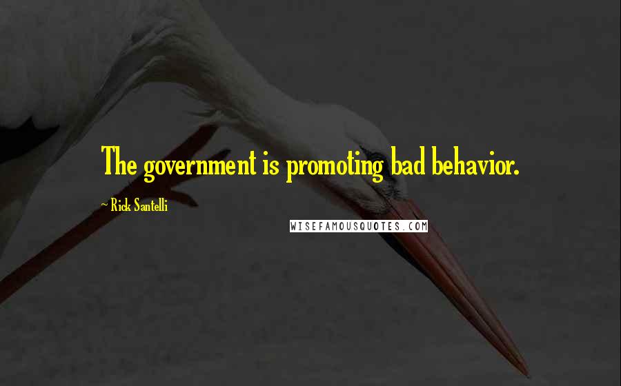 Rick Santelli Quotes: The government is promoting bad behavior.