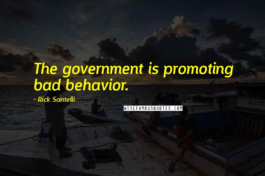 Rick Santelli Quotes: The government is promoting bad behavior.