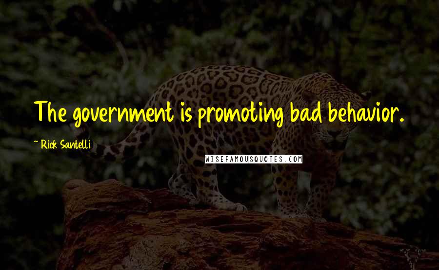 Rick Santelli Quotes: The government is promoting bad behavior.