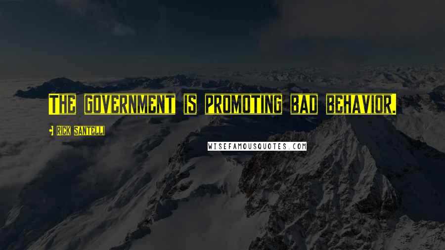 Rick Santelli Quotes: The government is promoting bad behavior.