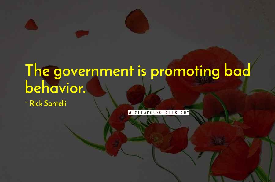 Rick Santelli Quotes: The government is promoting bad behavior.