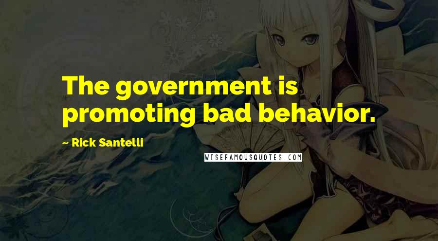 Rick Santelli Quotes: The government is promoting bad behavior.