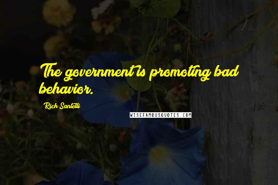 Rick Santelli Quotes: The government is promoting bad behavior.