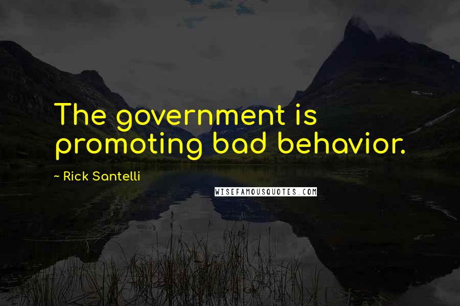 Rick Santelli Quotes: The government is promoting bad behavior.