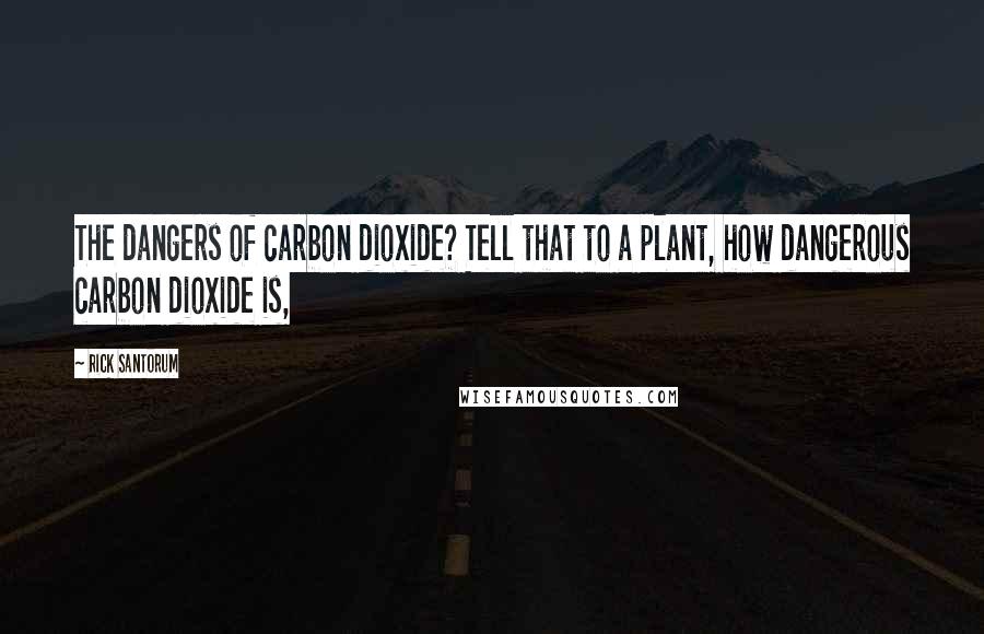 Rick Santorum Quotes: The dangers of carbon dioxide? Tell that to a plant, how dangerous carbon dioxide is,