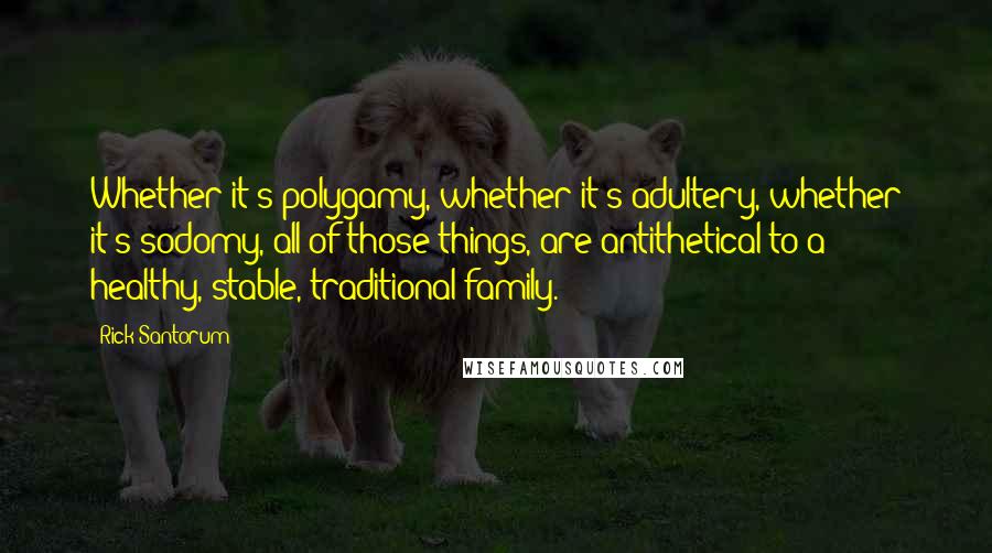 Rick Santorum Quotes: Whether it's polygamy, whether it's adultery, whether it's sodomy, all of those things, are antithetical to a healthy, stable, traditional family.