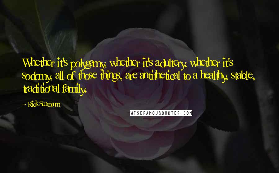 Rick Santorum Quotes: Whether it's polygamy, whether it's adultery, whether it's sodomy, all of those things, are antithetical to a healthy, stable, traditional family.