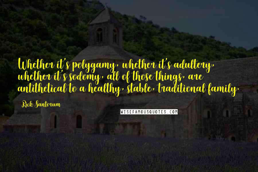 Rick Santorum Quotes: Whether it's polygamy, whether it's adultery, whether it's sodomy, all of those things, are antithetical to a healthy, stable, traditional family.