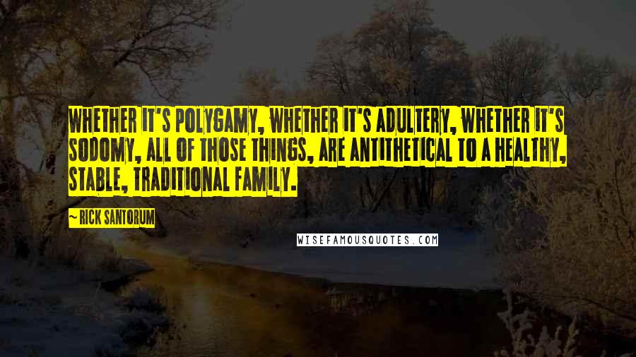 Rick Santorum Quotes: Whether it's polygamy, whether it's adultery, whether it's sodomy, all of those things, are antithetical to a healthy, stable, traditional family.