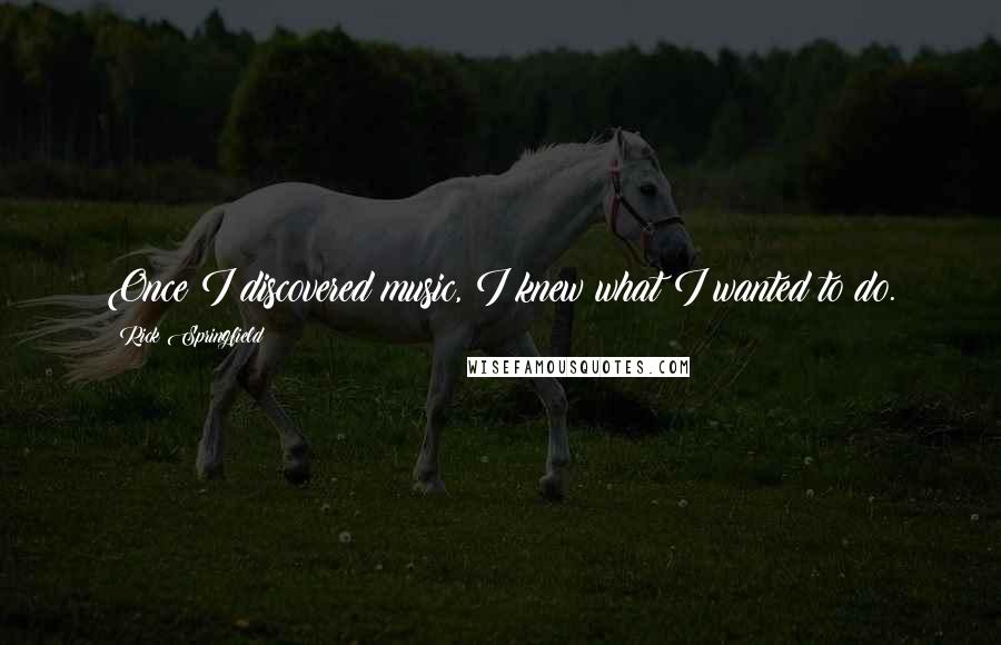 Rick Springfield Quotes: Once I discovered music, I knew what I wanted to do.