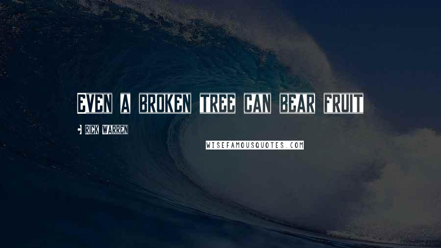 Rick Warren Quotes: Even a broken tree can bear fruit