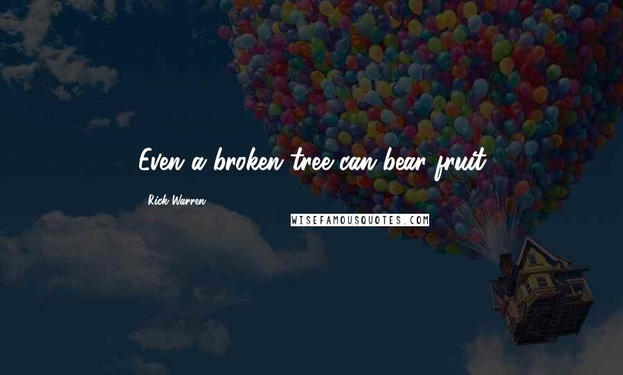 Rick Warren Quotes: Even a broken tree can bear fruit