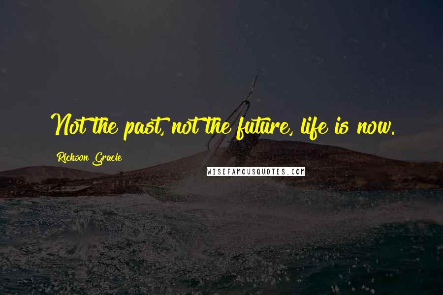 Rickson Gracie Quotes: Not the past, not the future, life is now.