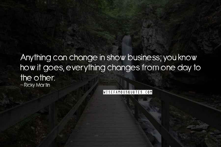 Ricky Martin Quotes: Anything can change in show business; you know how it goes, everything changes from one day to the other.