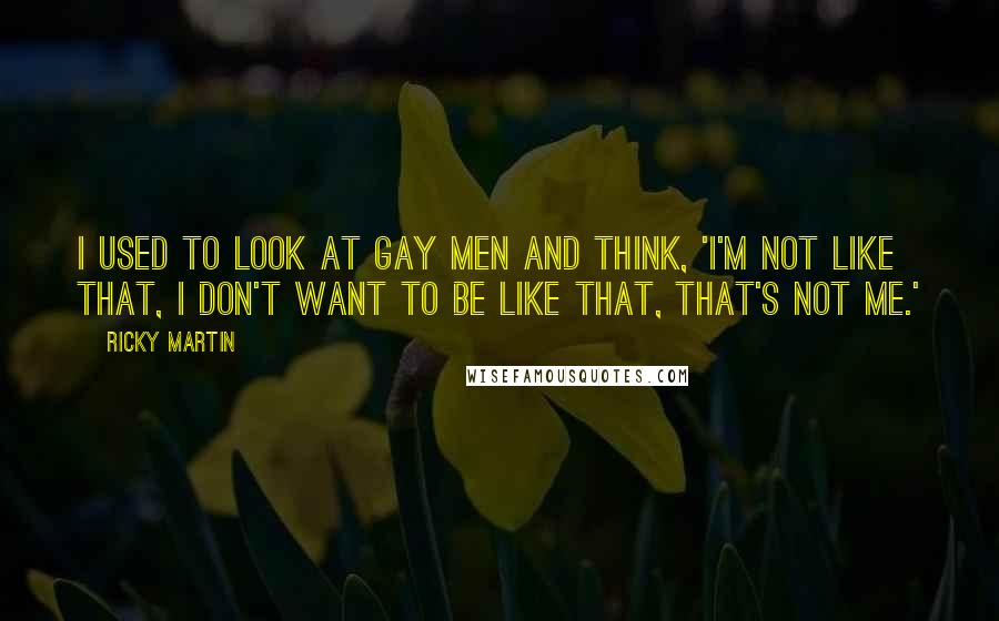 Ricky Martin Quotes: I used to look at gay men and think, 'I'm not like that, I don't want to be like that, that's not me.'