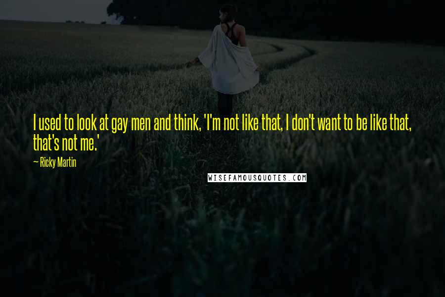 Ricky Martin Quotes: I used to look at gay men and think, 'I'm not like that, I don't want to be like that, that's not me.'
