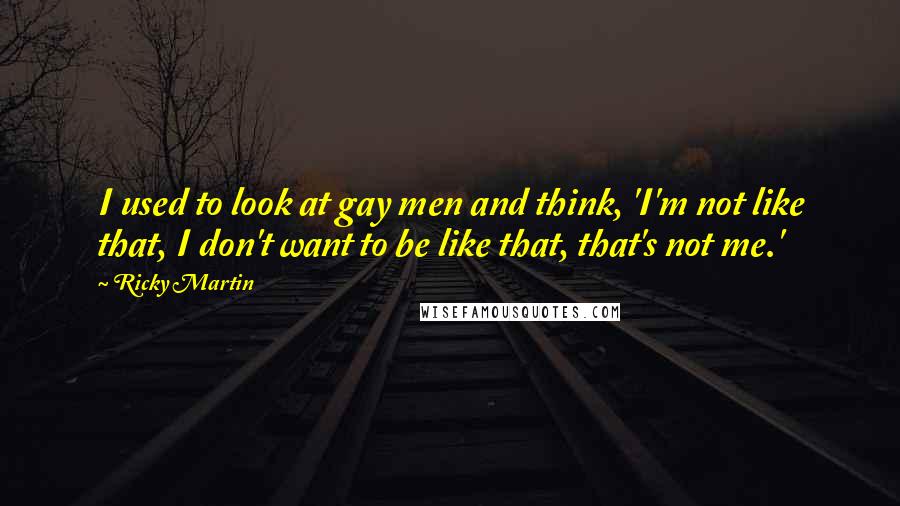 Ricky Martin Quotes: I used to look at gay men and think, 'I'm not like that, I don't want to be like that, that's not me.'