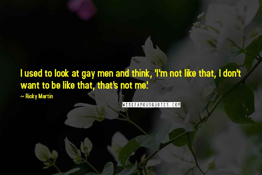 Ricky Martin Quotes: I used to look at gay men and think, 'I'm not like that, I don't want to be like that, that's not me.'