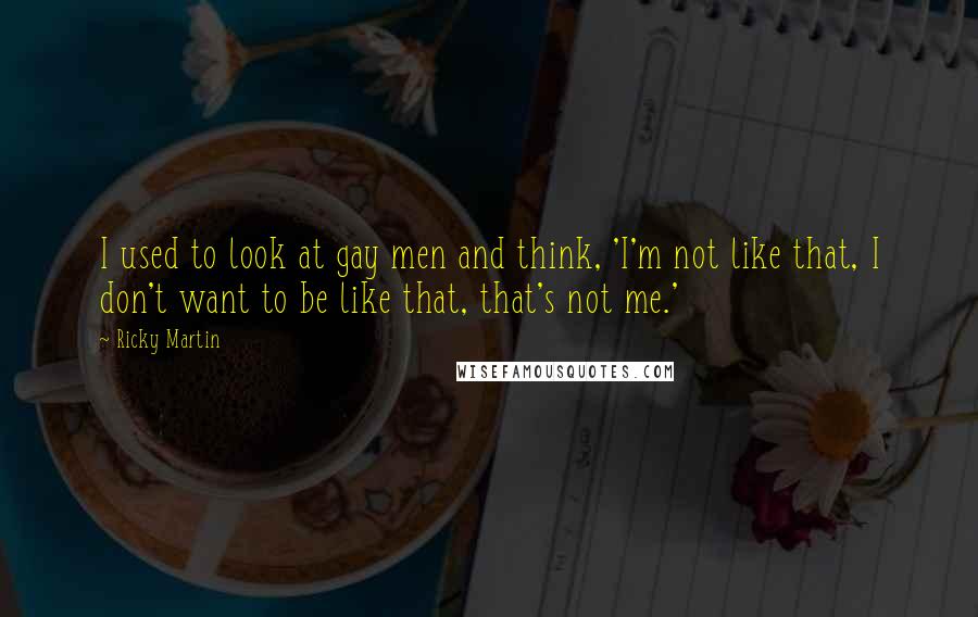Ricky Martin Quotes: I used to look at gay men and think, 'I'm not like that, I don't want to be like that, that's not me.'