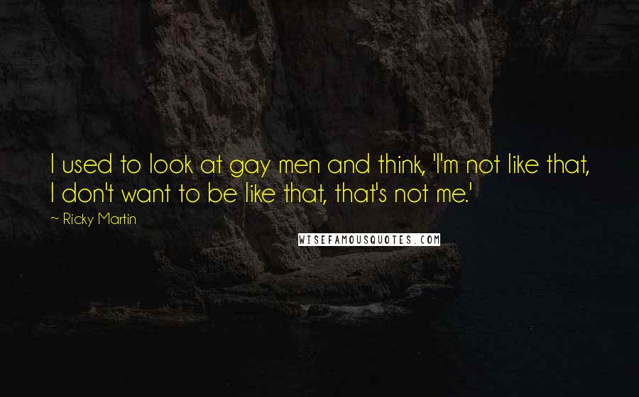 Ricky Martin Quotes: I used to look at gay men and think, 'I'm not like that, I don't want to be like that, that's not me.'