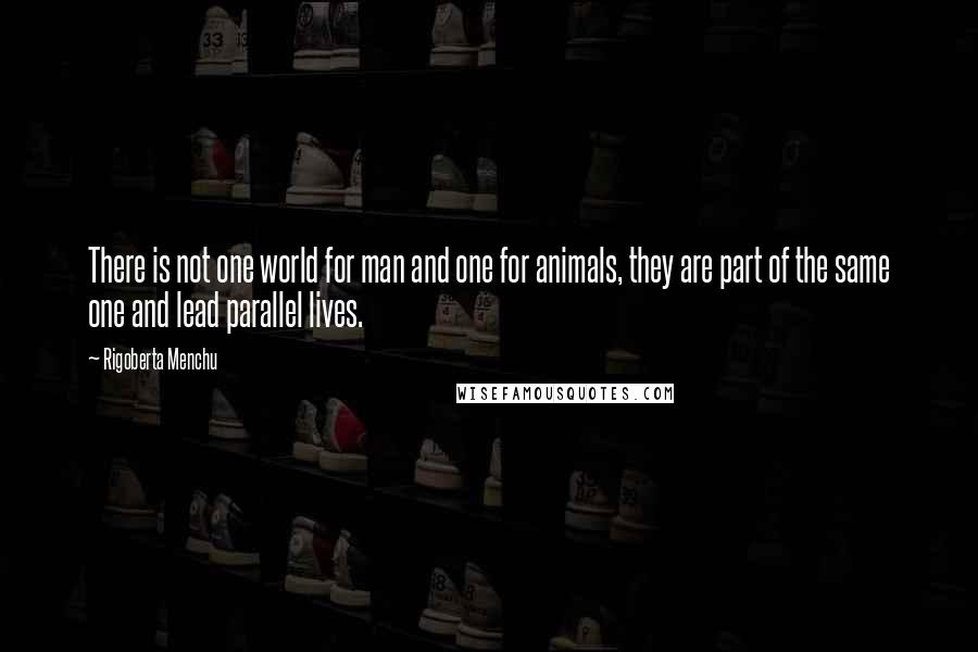 Rigoberta Menchu Quotes: There is not one world for man and one for animals, they are part of the same one and lead parallel lives.