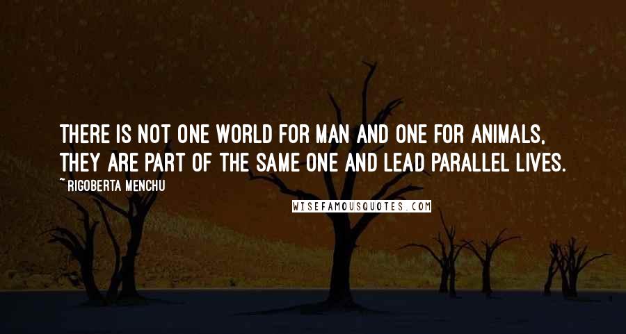 Rigoberta Menchu Quotes: There is not one world for man and one for animals, they are part of the same one and lead parallel lives.