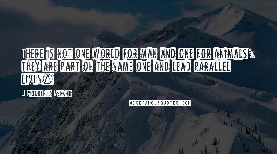 Rigoberta Menchu Quotes: There is not one world for man and one for animals, they are part of the same one and lead parallel lives.