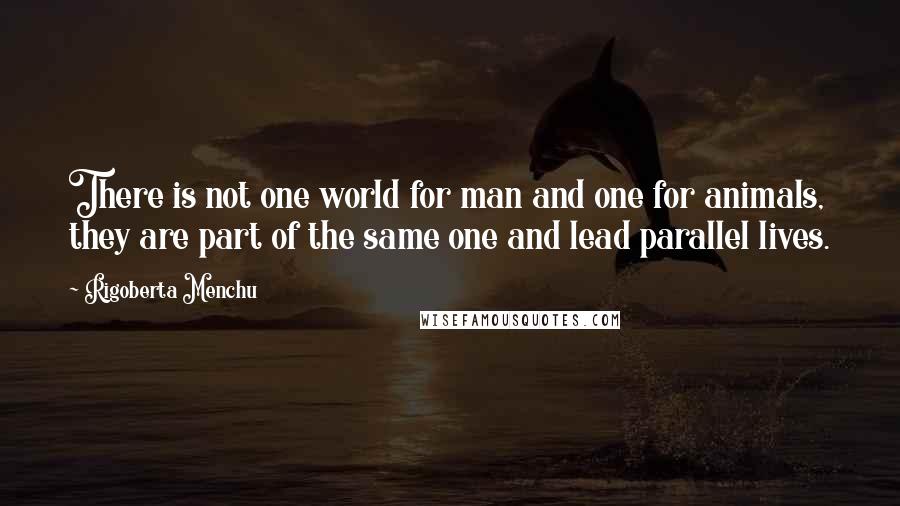 Rigoberta Menchu Quotes: There is not one world for man and one for animals, they are part of the same one and lead parallel lives.