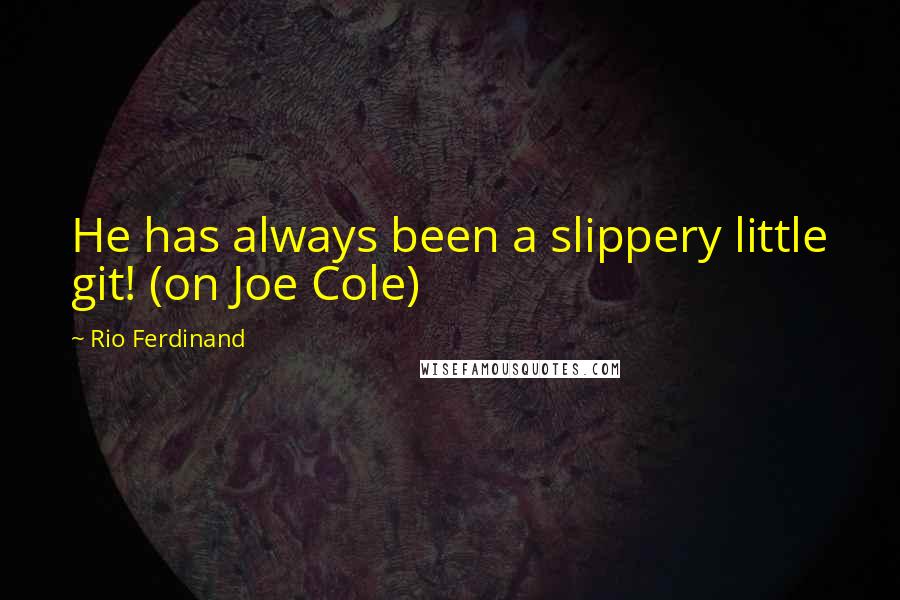 Rio Ferdinand Quotes: He has always been a slippery little git! (on Joe Cole)