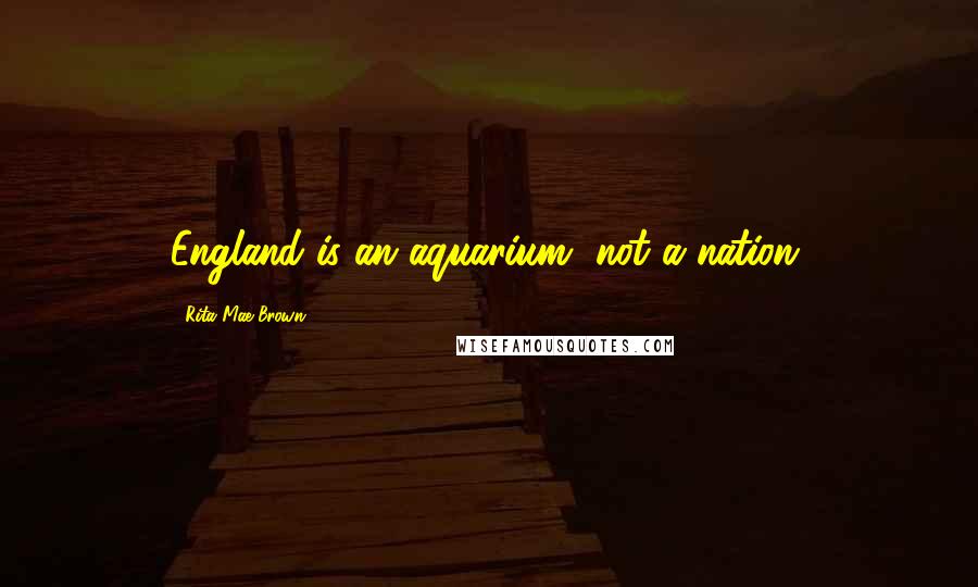 Rita Mae Brown Quotes: England is an aquarium, not a nation.