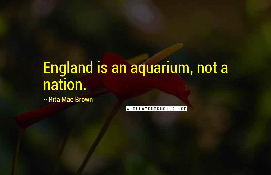 Rita Mae Brown Quotes: England is an aquarium, not a nation.
