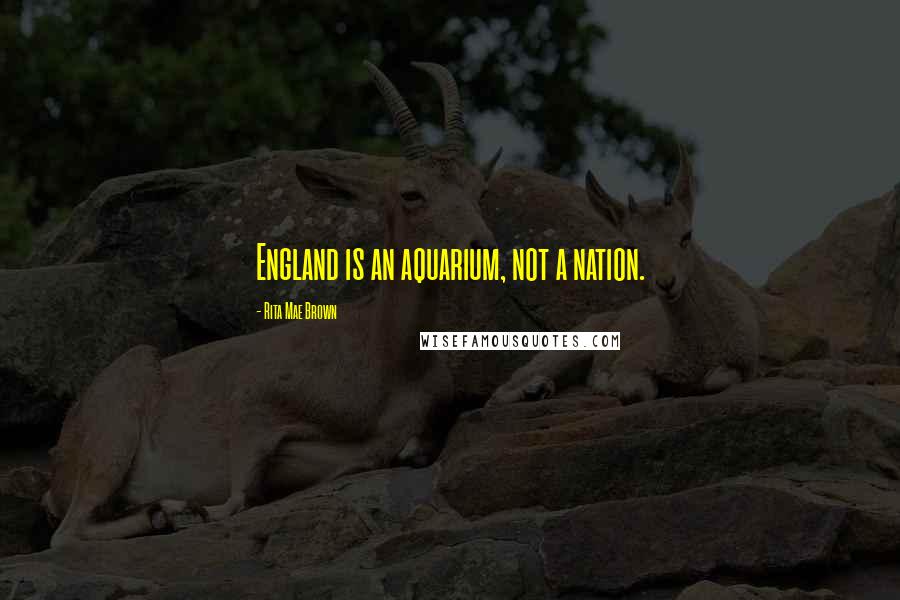 Rita Mae Brown Quotes: England is an aquarium, not a nation.