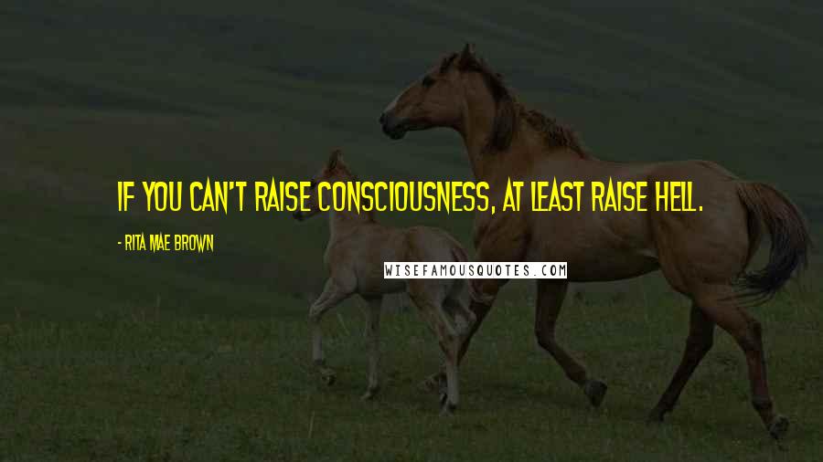 Rita Mae Brown Quotes: If you can't raise consciousness, at least raise hell.