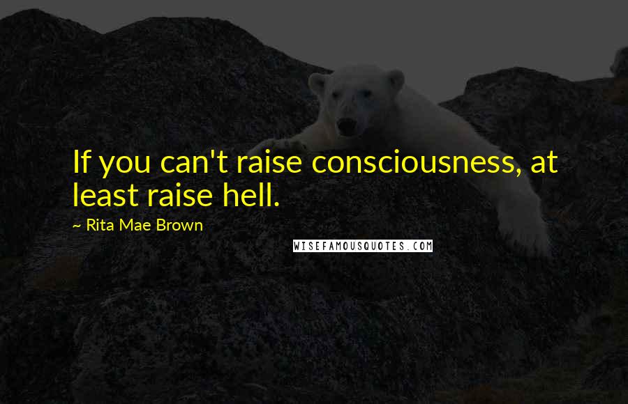 Rita Mae Brown Quotes: If you can't raise consciousness, at least raise hell.