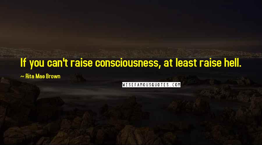 Rita Mae Brown Quotes: If you can't raise consciousness, at least raise hell.