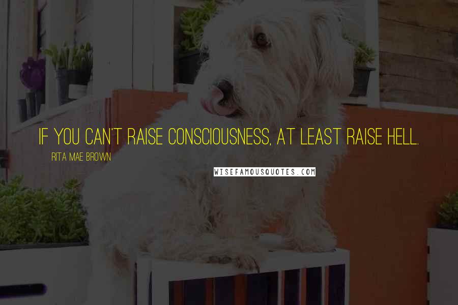 Rita Mae Brown Quotes: If you can't raise consciousness, at least raise hell.