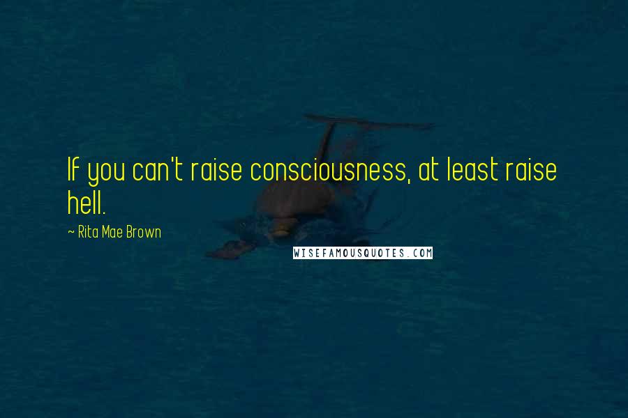 Rita Mae Brown Quotes: If you can't raise consciousness, at least raise hell.