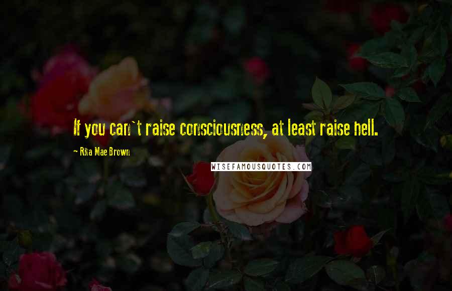 Rita Mae Brown Quotes: If you can't raise consciousness, at least raise hell.