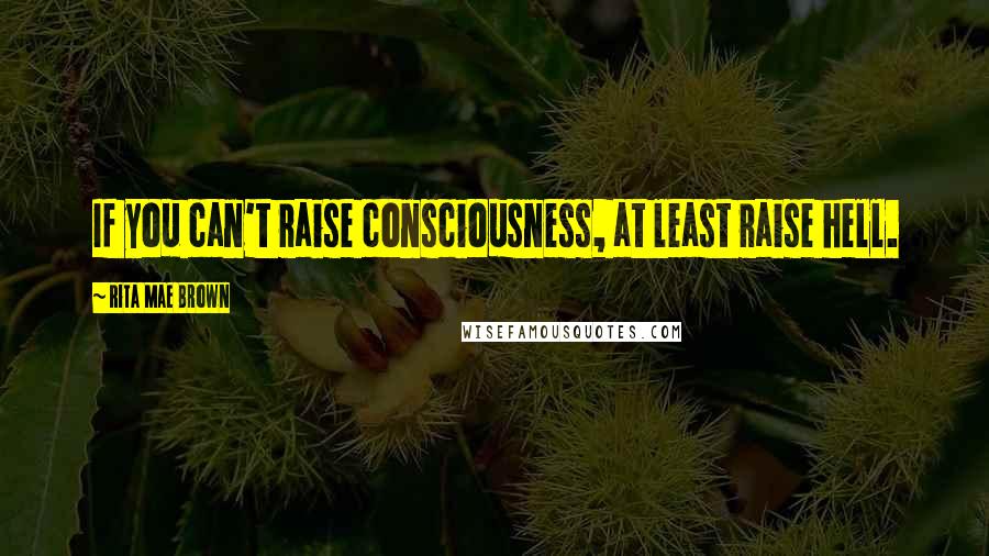 Rita Mae Brown Quotes: If you can't raise consciousness, at least raise hell.