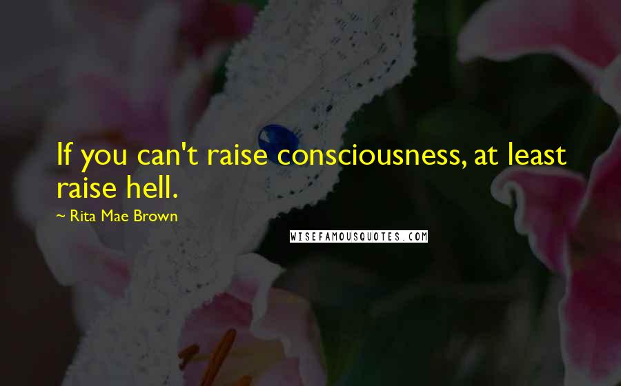 Rita Mae Brown Quotes: If you can't raise consciousness, at least raise hell.