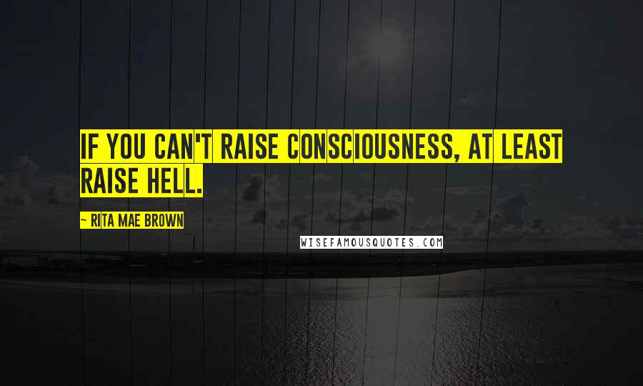 Rita Mae Brown Quotes: If you can't raise consciousness, at least raise hell.