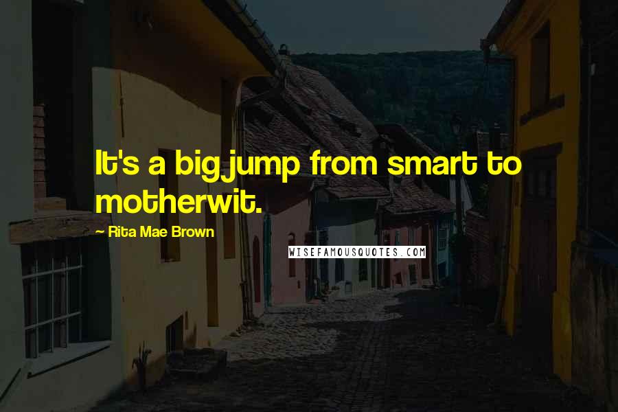 Rita Mae Brown Quotes: It's a big jump from smart to motherwit.