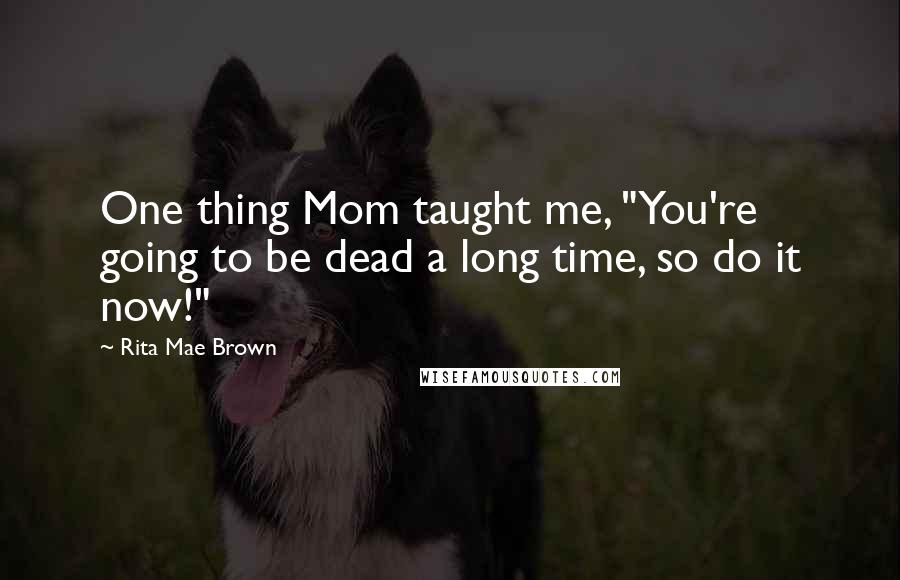 Rita Mae Brown Quotes: One thing Mom taught me, "You're going to be dead a long time, so do it now!"