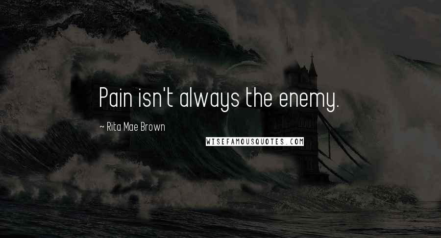 Rita Mae Brown Quotes: Pain isn't always the enemy.