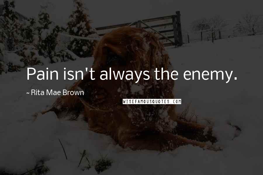 Rita Mae Brown Quotes: Pain isn't always the enemy.