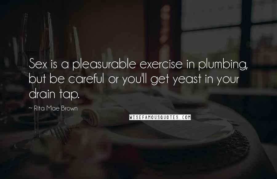 Rita Mae Brown Quotes: Sex is a pleasurable exercise in plumbing, but be careful or you'll get yeast in your drain tap.