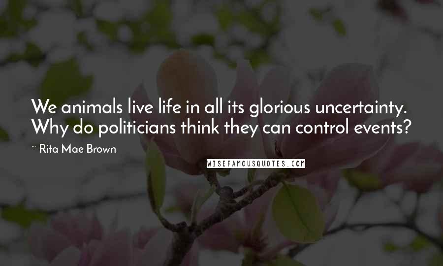 Rita Mae Brown Quotes: We animals live life in all its glorious uncertainty. Why do politicians think they can control events?